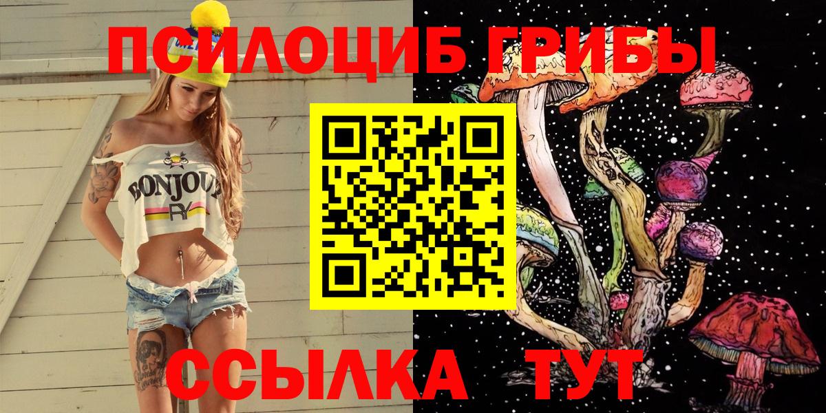 Миллерово  Псилоцибиновые грибы MAGIC MUSHROOMS  Вход с VPN 